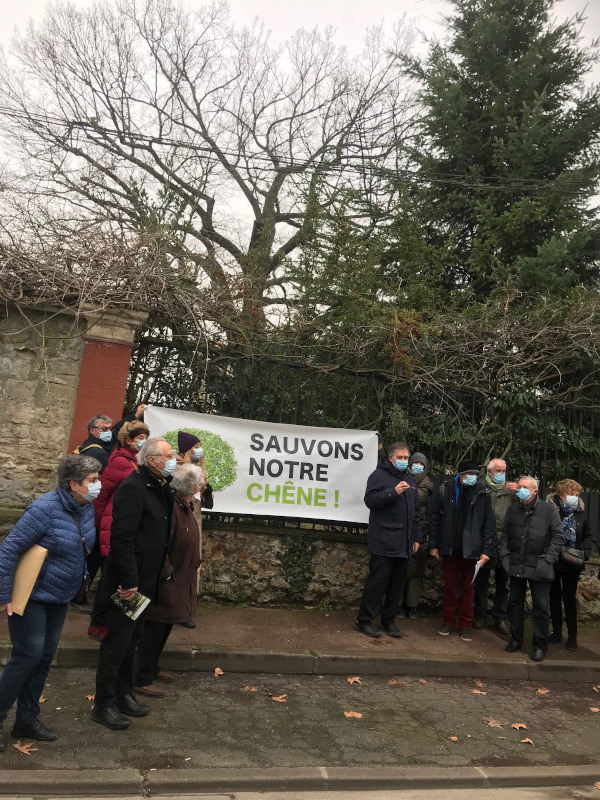 You are currently viewing Mobilisation pour la sauvegarde d’un chêne multi-centenaire à St Maur des Fossés