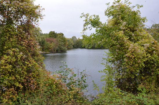 You are currently viewing Visitez le nouvel espace naturel sensible du Parc interdépartemental de Choisy