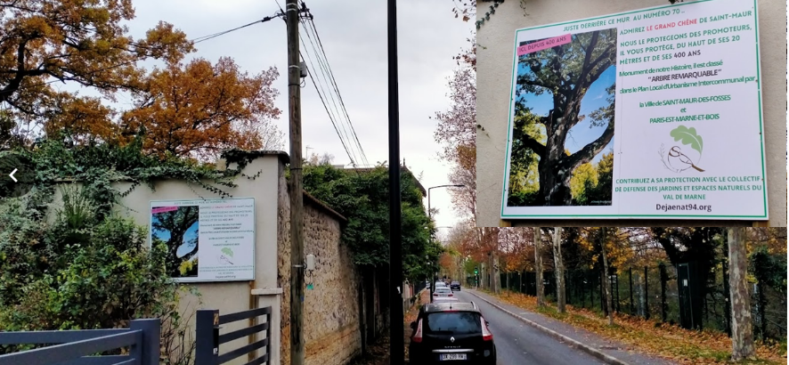 Lire la suite à propos de l’article GRAND CHENE SAINT-MAUR – MANIFESTONS ENSEMBLE LE 7 DECEMBRE POUR LE PROTEGER
