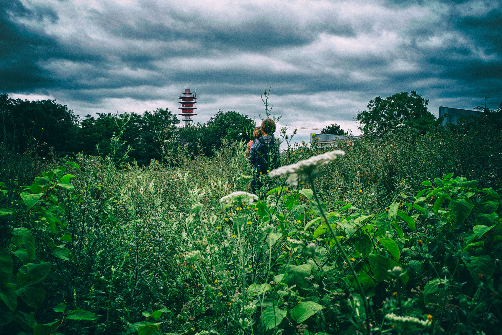 Lire la suite à propos de l’article Le boulevard Altival à Champigny, Villiers et Chennevières : non-sens écologique et économique