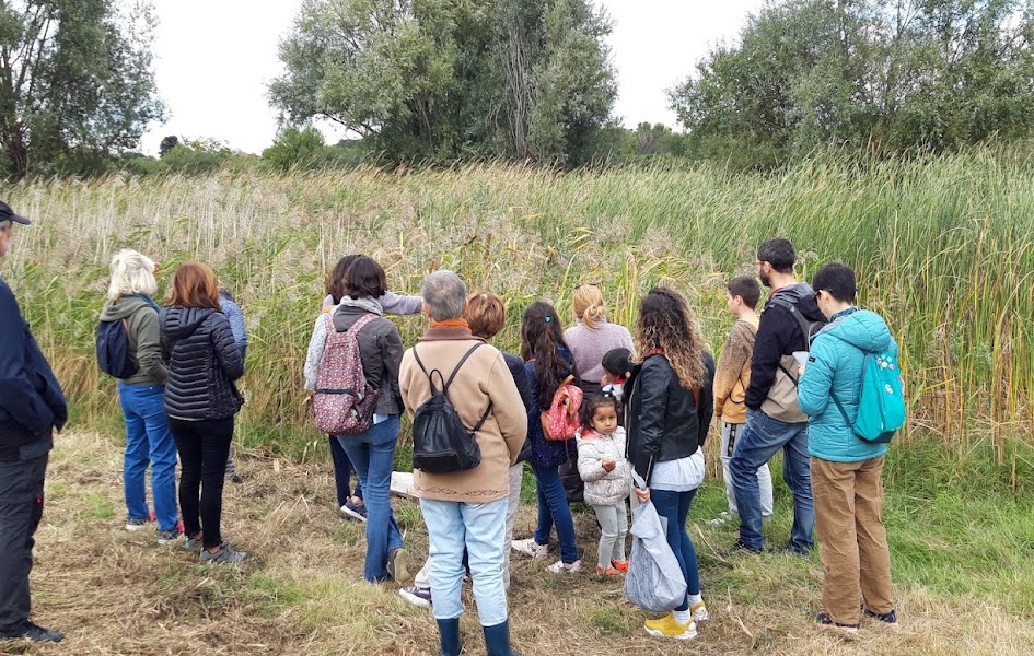 Lire la suite à propos de l’article Sauvons la Plaine des Bordes, la pleine terre et sa biodiversité exceptionnelle à Chennevières sur Marne !