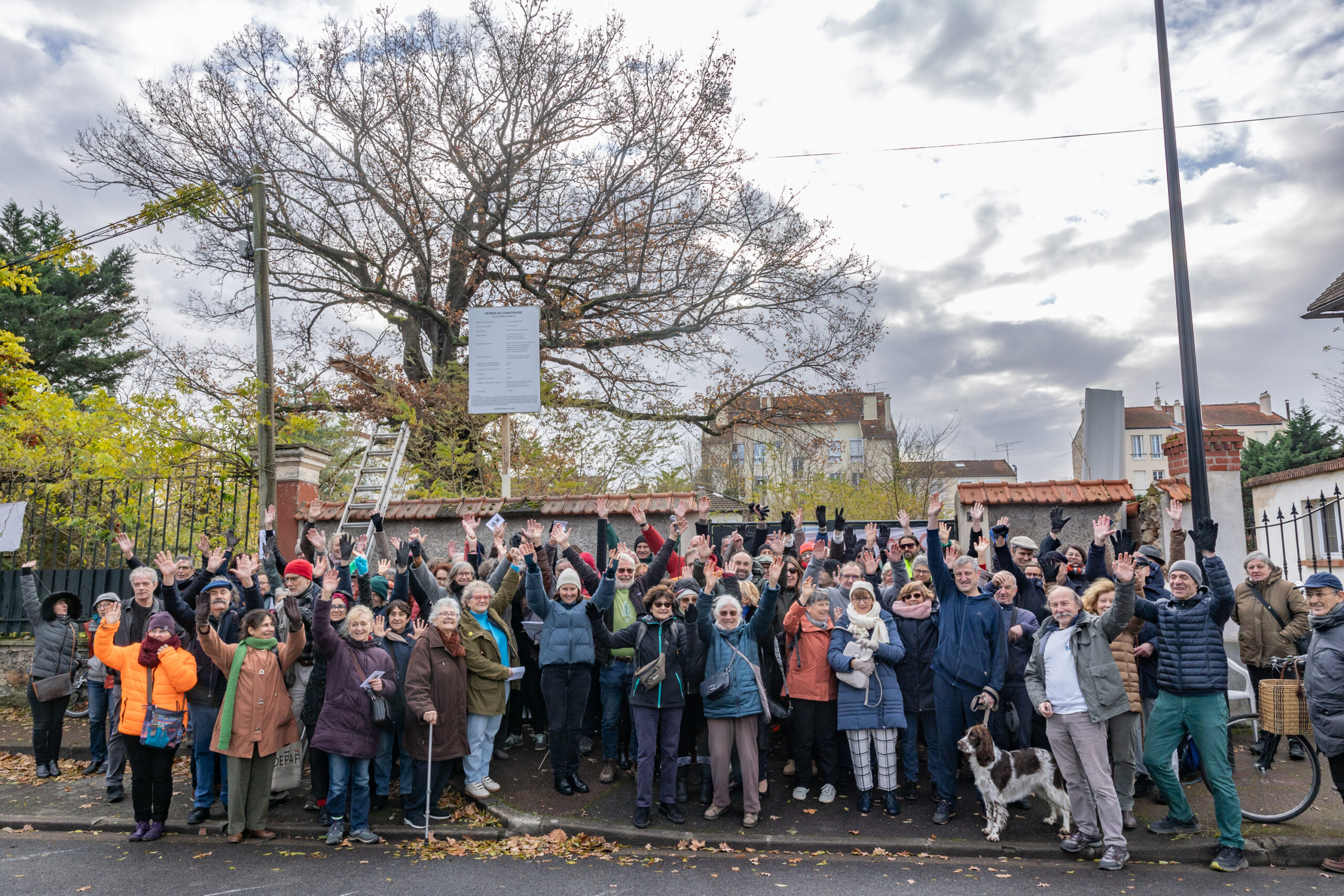 Lire la suite à propos de l’article Sauvons une 3ème fois le Grand Chêne de Saint-Maur