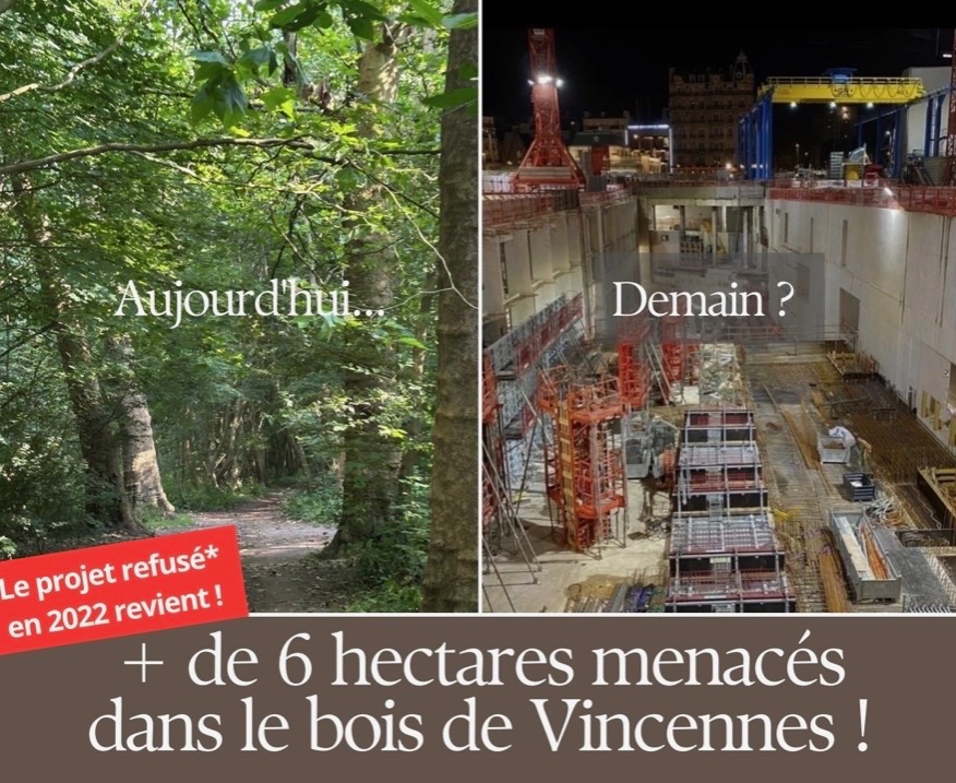 Lire la suite à propos de l’article LE BOIS DE VINCENNES A ENCORE BESOIN DE VOUS !